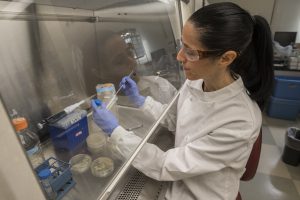 Photo of DENIN Fellow Amanda Rosier in her lab.